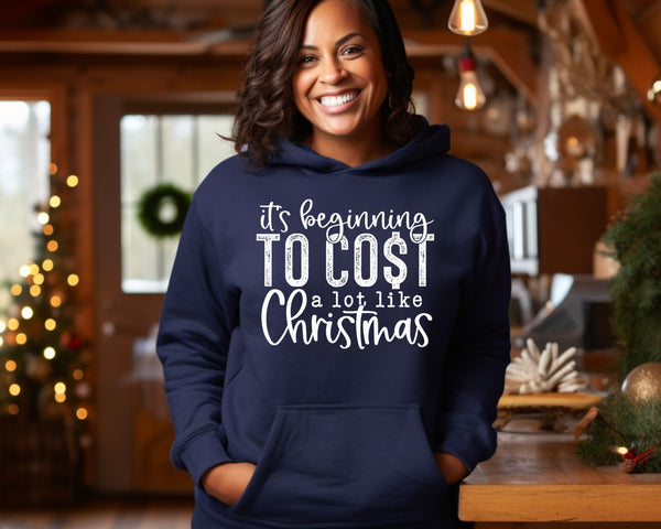 It's Beginning to Cost a lot like Christmas Hoodie