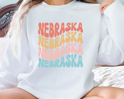 Retro State Sweatshirt