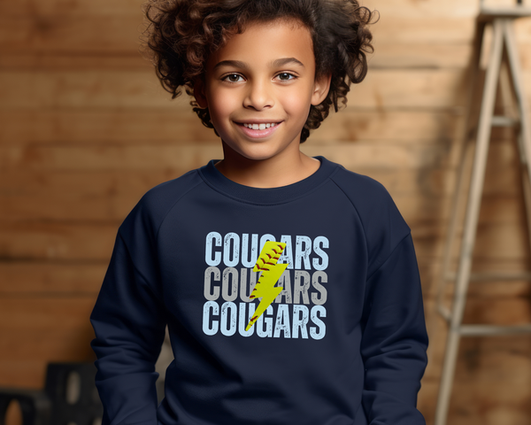 Custom Lightning Softball Sweatshirt Youth Size