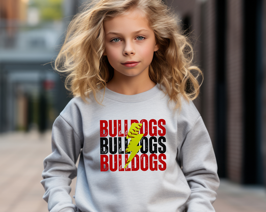 Custom Lightning Softball Sweatshirt Youth Size