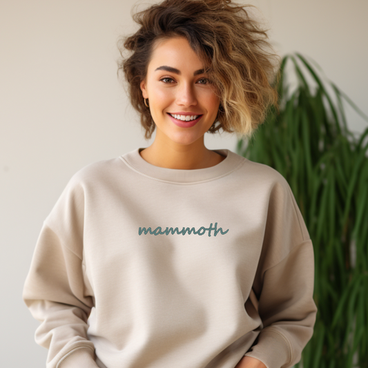 Ski Resort Embroidered Sweatshirt